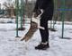 Добрый пёс Малыш