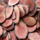 ПАНТЫ Алтайского Марала Кровь Марала Каменное масло