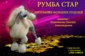 Щенки большого пуделя абрикосового окраса, питомника "РУМБА СТАР"