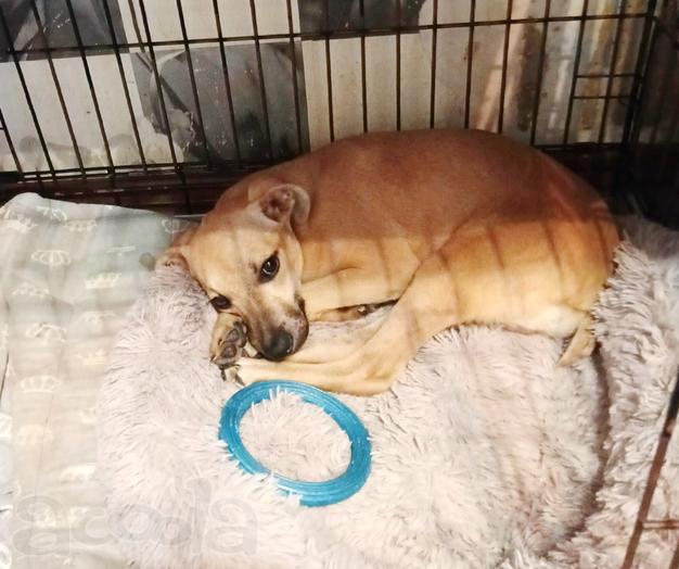 Маленький, трогательный малыш