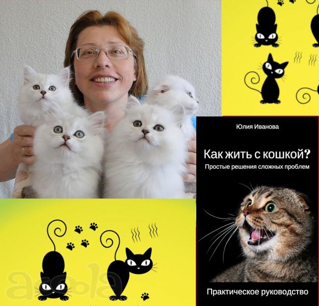 Зоопсихолог для кошек