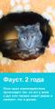 Спасенные из беды ищут свои семьи