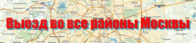 Ветеринарная помощь на дому в Москве