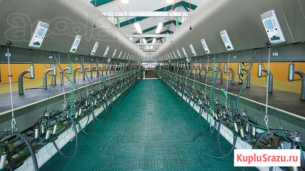 Доильный зал полный комплект Gea Westfalia